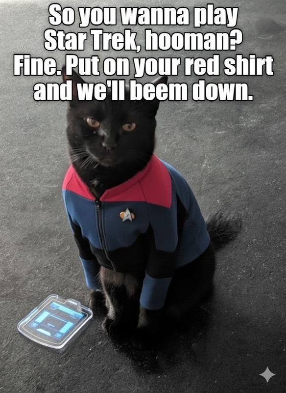 every cat has main character syndrome
