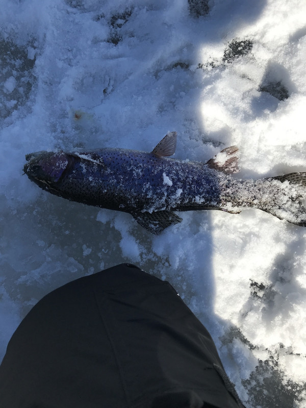 E2410C05-5151-4EF8-9DA4-0A305D264D90