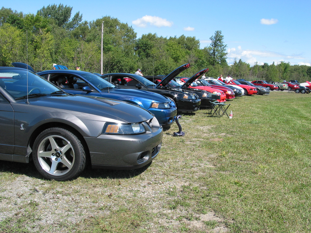 mustang - Montréal Mustang: 40 ans et + d’activités! (Photos-Vidéos,etc...) - Page 20 Ligne-de-Cobra