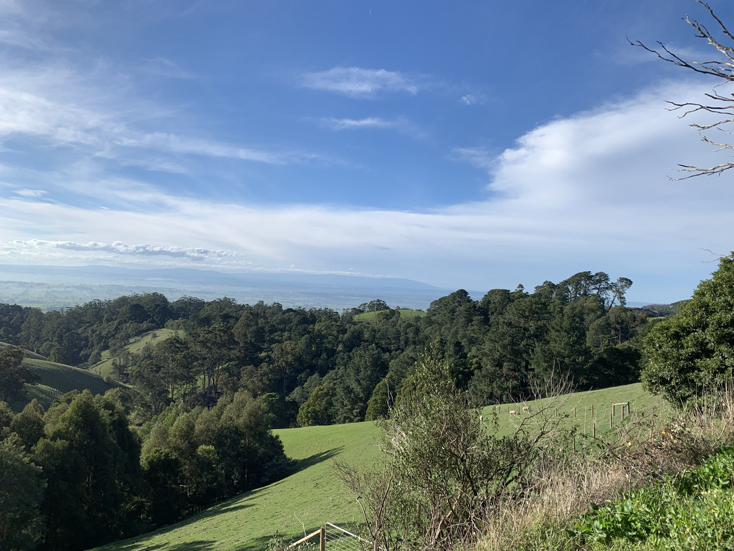 793F831A-CD72-48E9-A7B4-D060FCEC7ECC