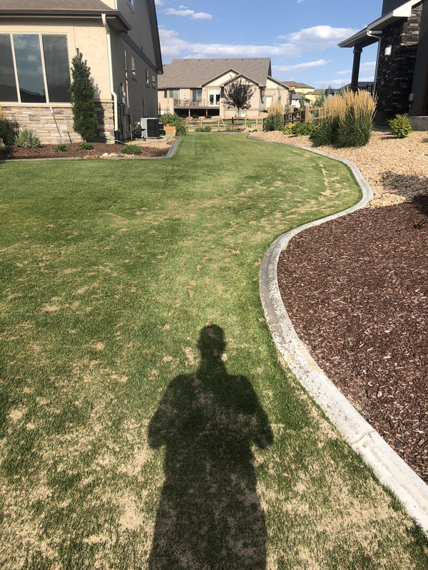 5FA5D5FD-C6CE-4F64-A481-C393DEB34144