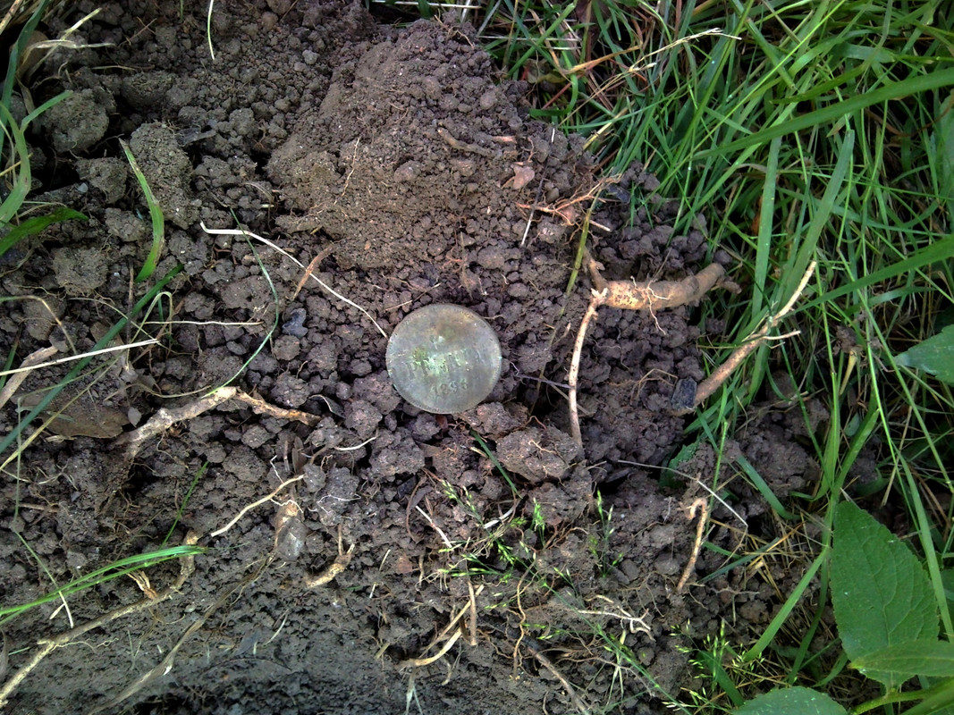 2014-07-07 @11-50-38 - 5 penniä 1896 