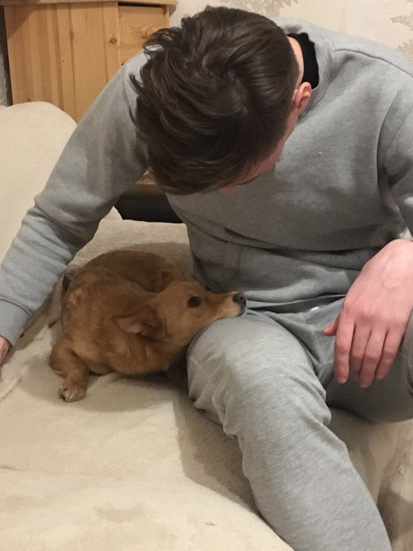 IMG-e3aef94ac058ff36c591f4fc9694a4ab-V