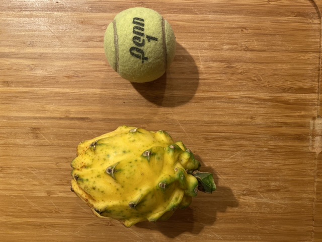 DDED29E7-A2C6-4D31-A8C4-1BB6E830DE70