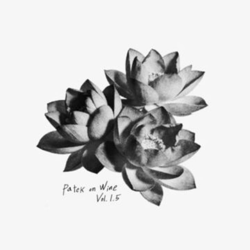 Patek on Wine 1.5 - PATEKO (파테코), Kid Wine ALBUM COVER