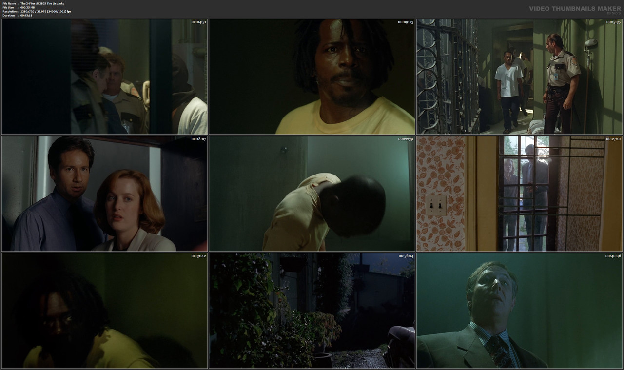 The X-Files S03E05 The List.mkv