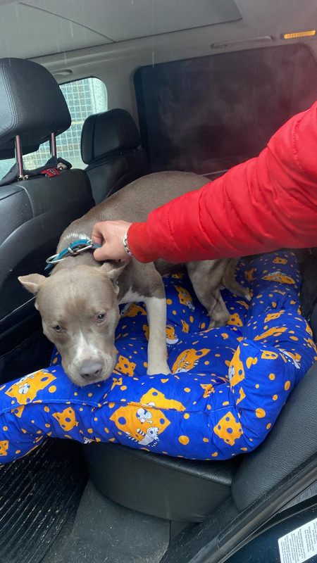 AF48C878-ACDB-4662-9C23-1919CF654D8A