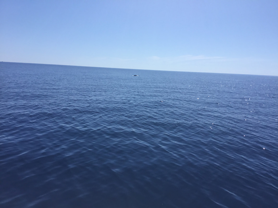 EB84D1A1-F951-411A-BF72-CAA07AB09432