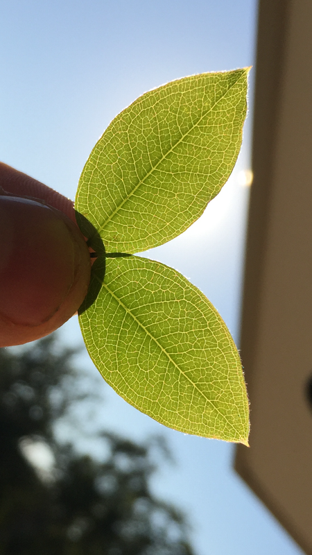 67461C01-00D2-4669-94CC-A2A96BF1B0F6