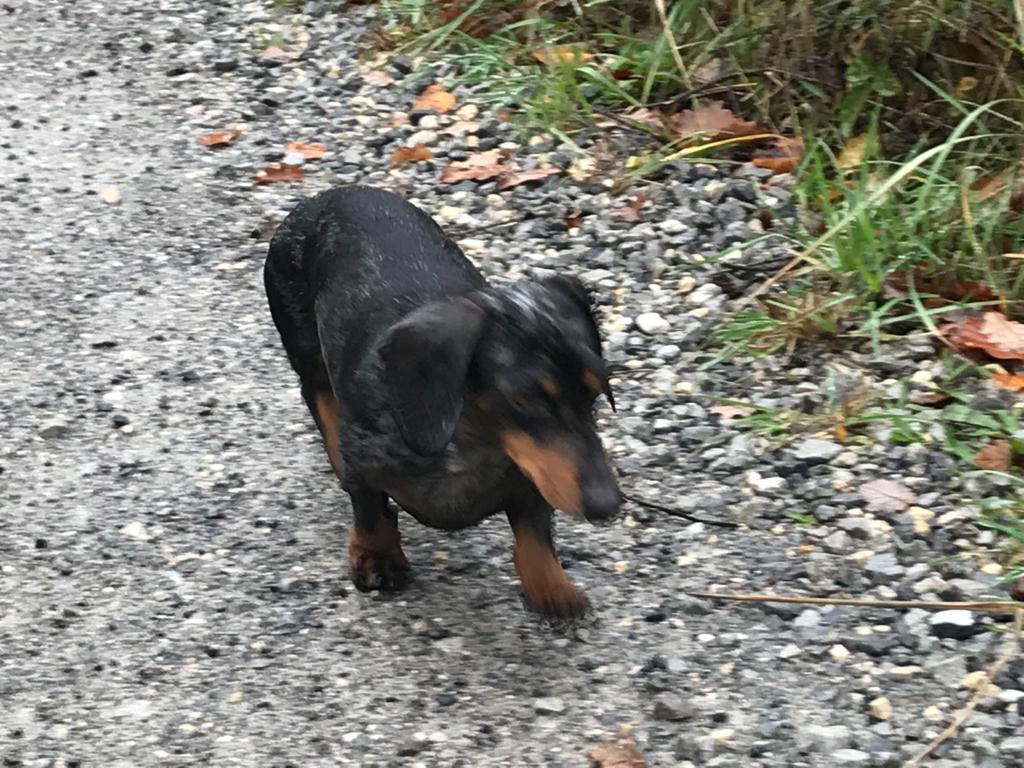 [Image: IMG-20221120-WA0009.jpg]