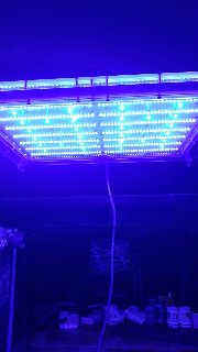 E86325D6-084E-4C79-AF23-6E16C5CFF3FF