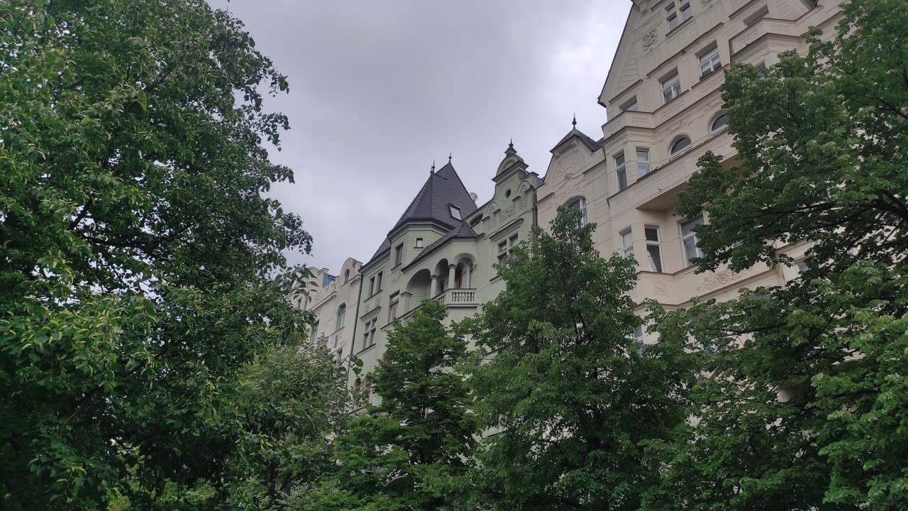 08.01 - IMG_20240503_113559 (Czesio1)