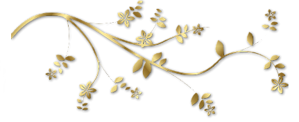 93b791ba86-104597200-o2.png