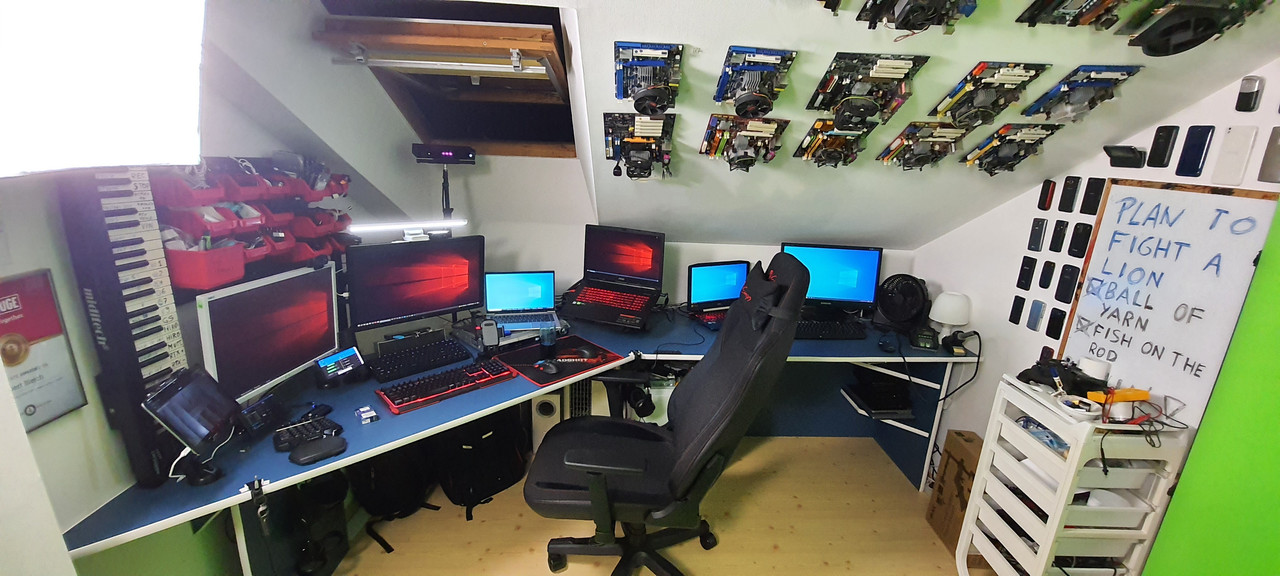 linus-1.jpg