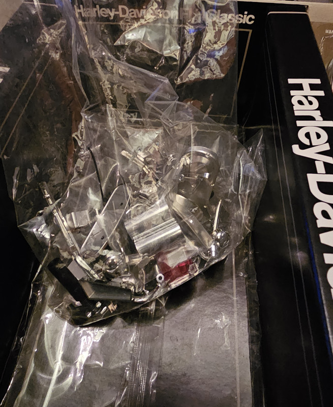 20231208-055627.jpg