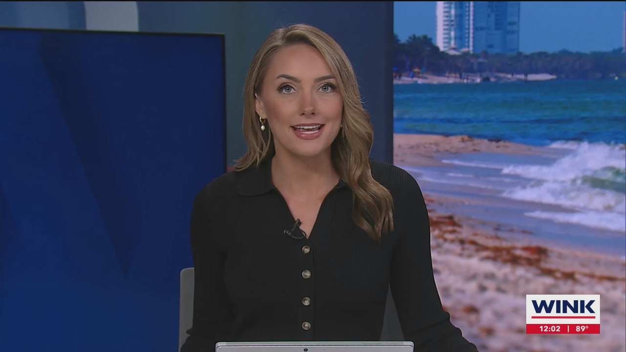 The WINK Noon News_20240906_17001730.ts_snapshot_08.01.310