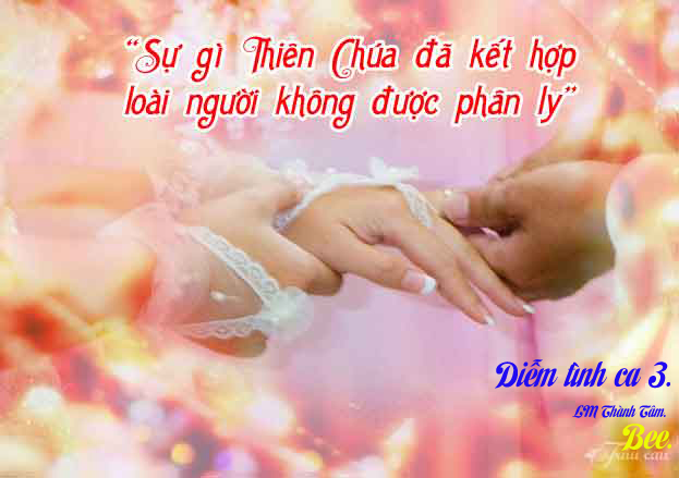 [Image: 3-copy.jpg]
