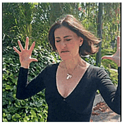 IMG-2470.gif