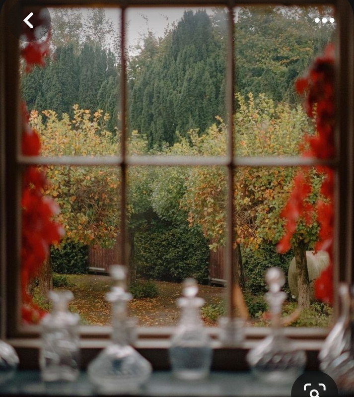 Screenshot_20231222_175938_Pinterest