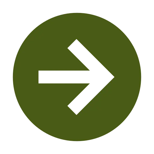 ícone seta esquerda