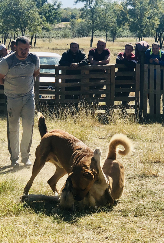 C6DCF771-2A18-4669-98B1-EE383A5F1A03