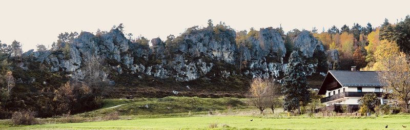 PA290810.jpg