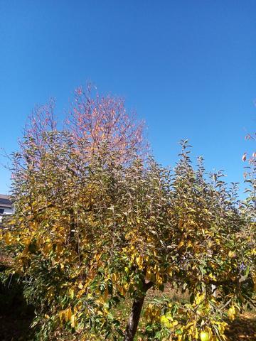 IMG 20251031 131157 958