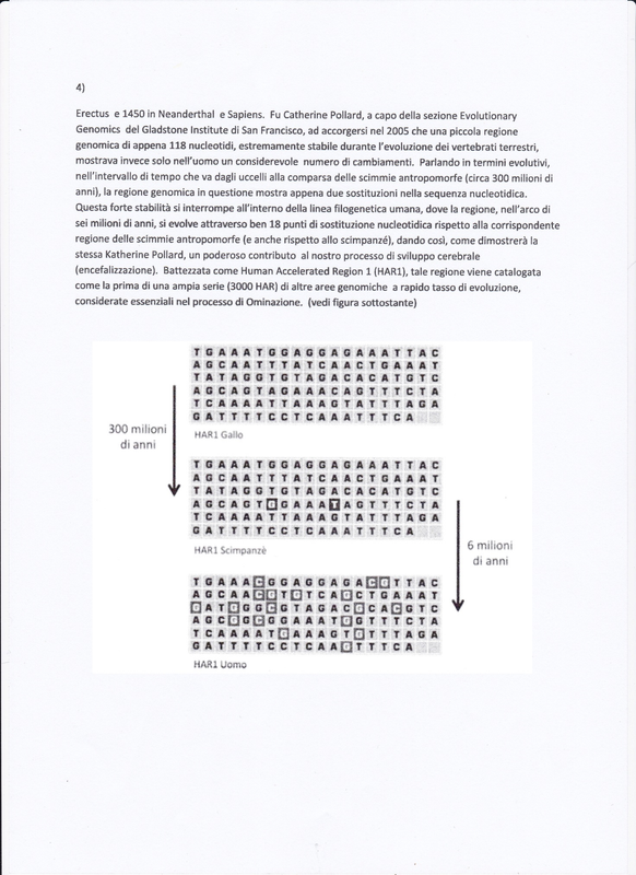 Dentro il genoma p. 4