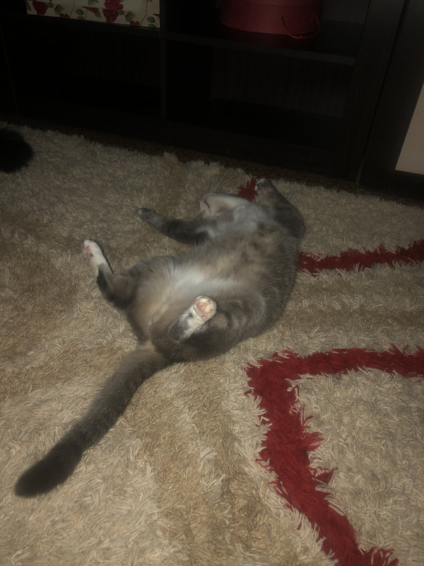 EFC32670-F9F6-45EA-97D6-7E4221D9D224