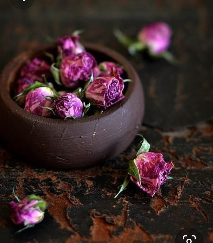 Screenshot_20230615_221337_Pinterest