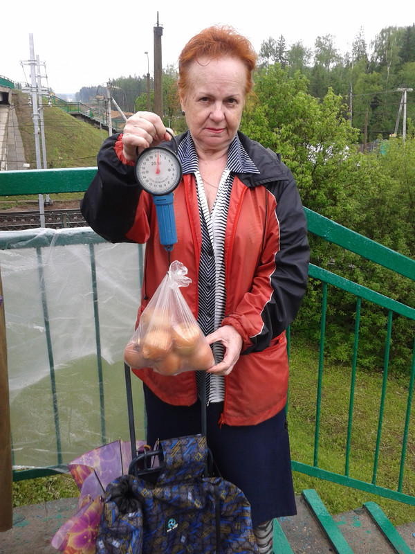 Торгую луком