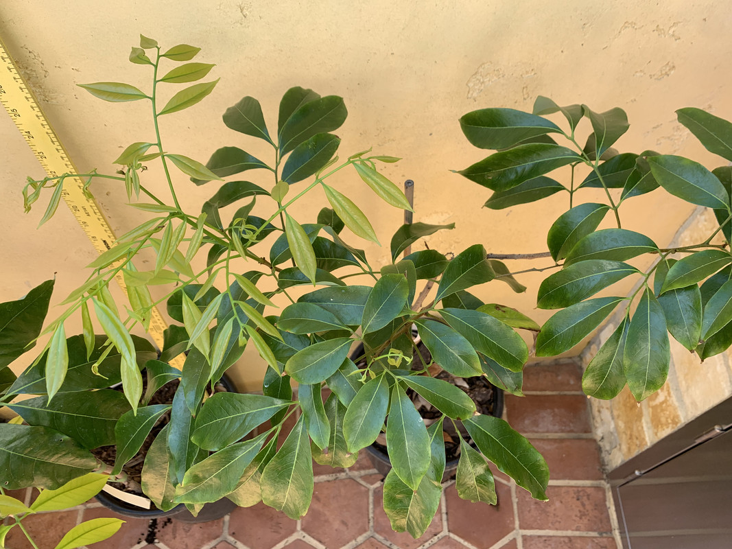 391C2A54-97AA-40D8-8D5E-665F4C149EBA