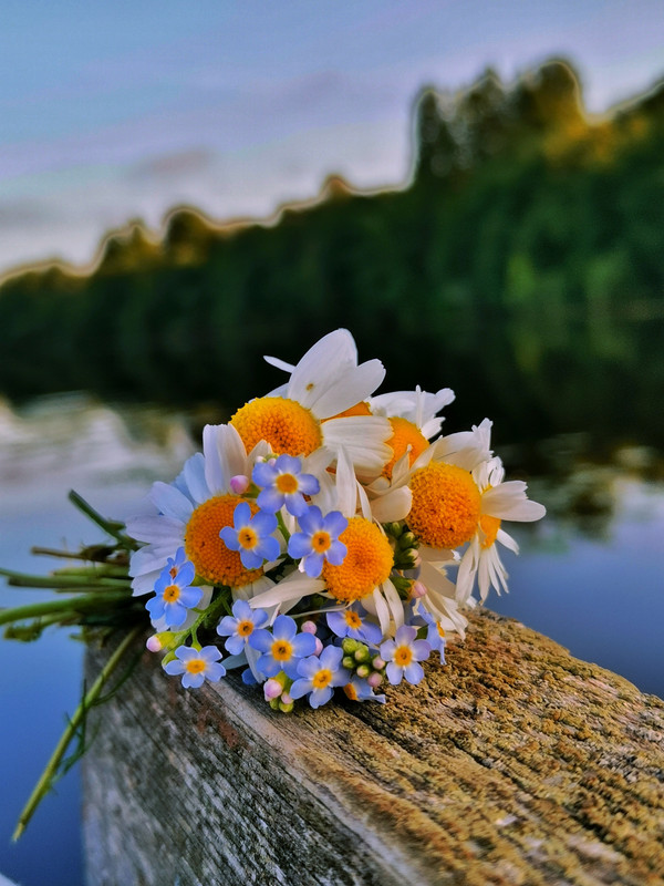 IMG-20220725-202948-01-02