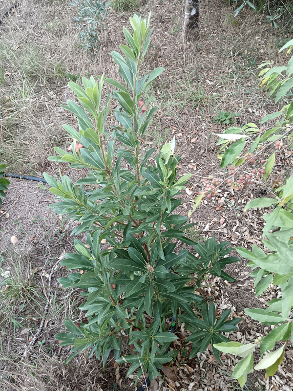 IMG 20260923 185138
