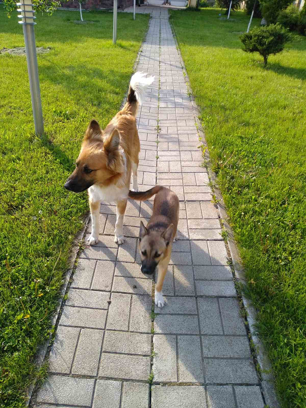 355FC177-0C79-451D-A714-4196AE099958