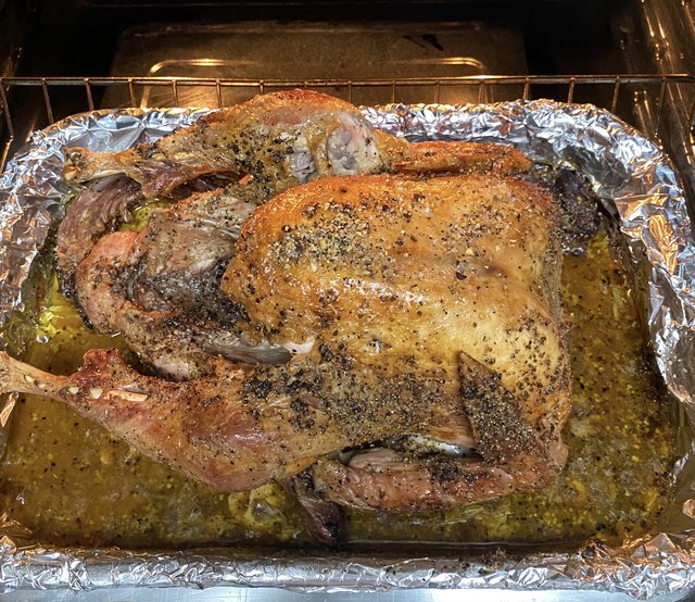 [Image: 0-C6-F71-AF-1-BF1-4687-8297-83-B3-B8-AD967-E.jpg]