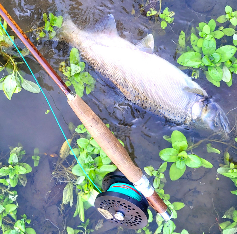 Resized_20231216_124658