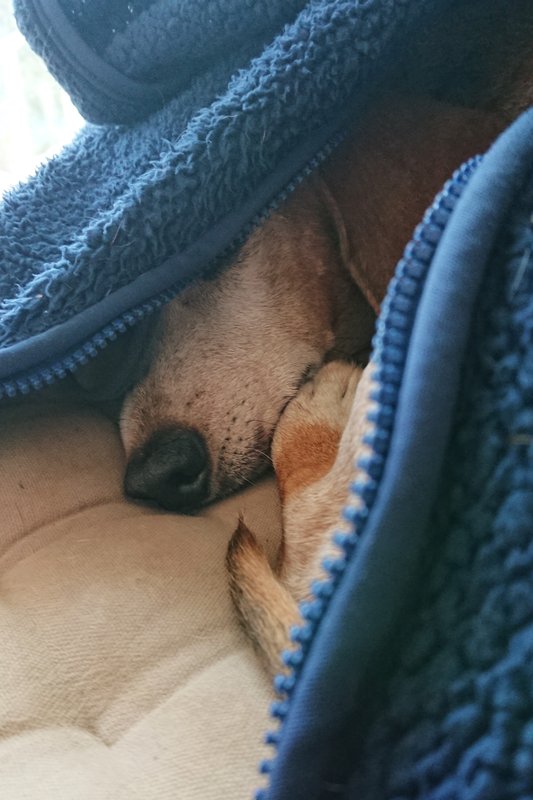 [Image: DSC-4237.jpg]