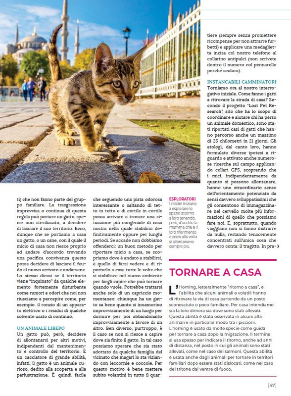 Ga Ma Dic 2022-Gen 2023 (12)