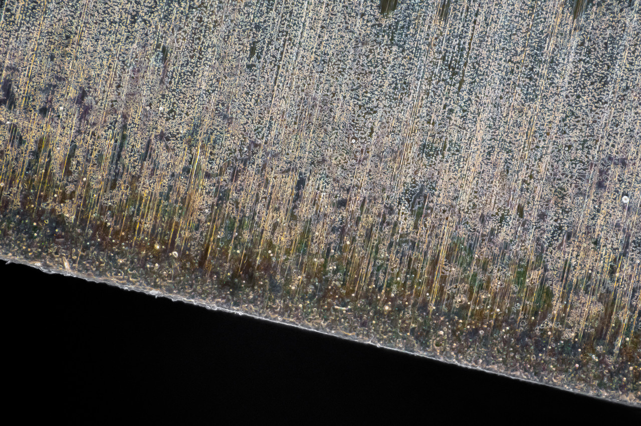2025 12 20 20 48 09 (B Radius4 Smoothing2)31