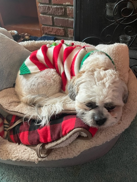 B7-E8-B824-361-A-40-BA-AC25-CAC4-C364-F269