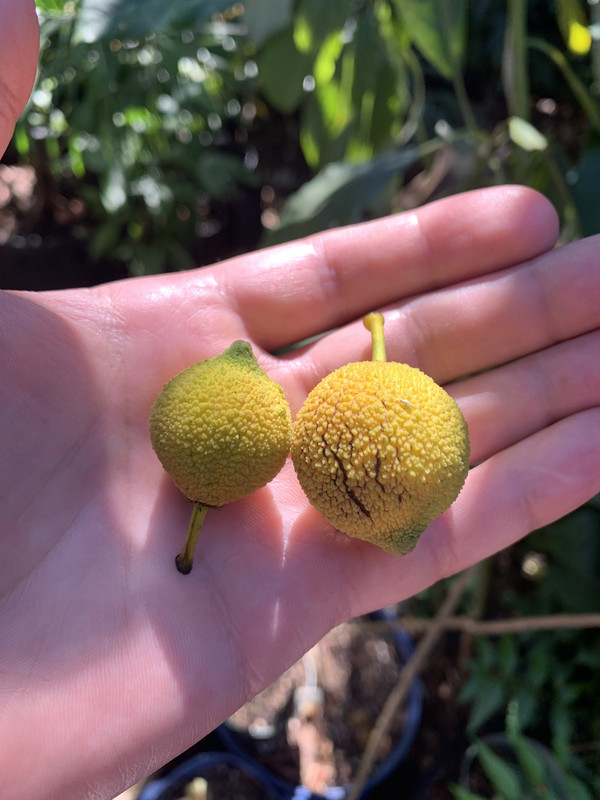 3147D7EF-172F-4360-9997-0ADEA0856243