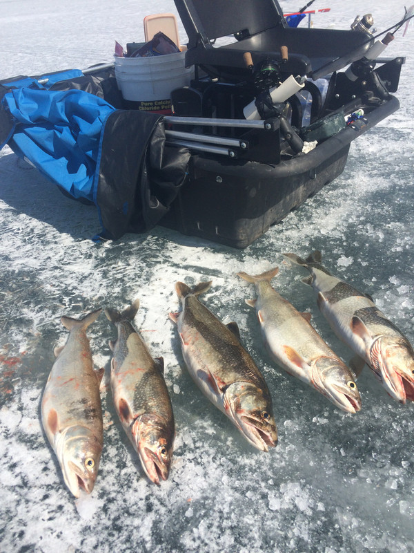 1D228D13-B322-4579-A0DB-42596E210542