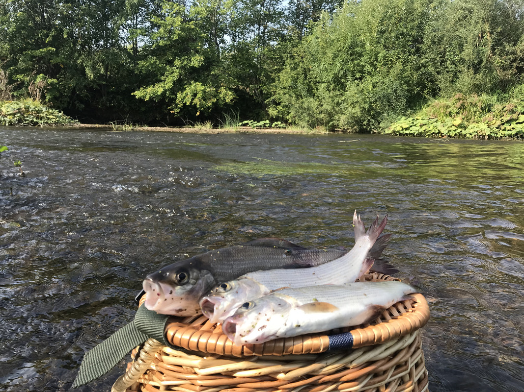 DBEB0E76-913B-4699-B0E0-451EB525CCED