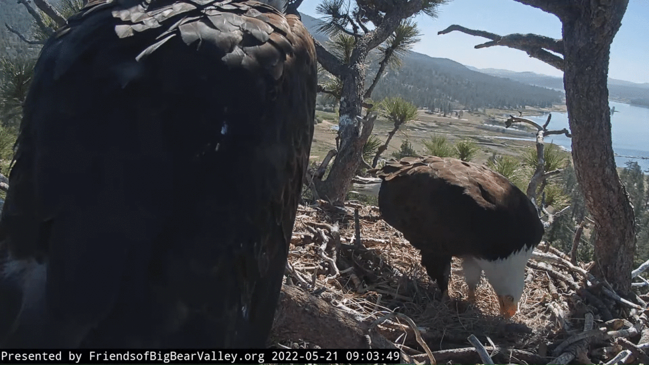 Webp.net-gifmaker (4)