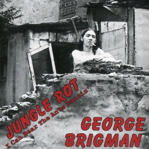 George Brigman - Jungle Rot / I Can Hear The Ants Dancin' (2005)