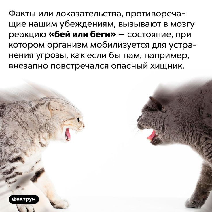 [Изображение: d755abd4470ea030f271ebe8235bac12.jpg]