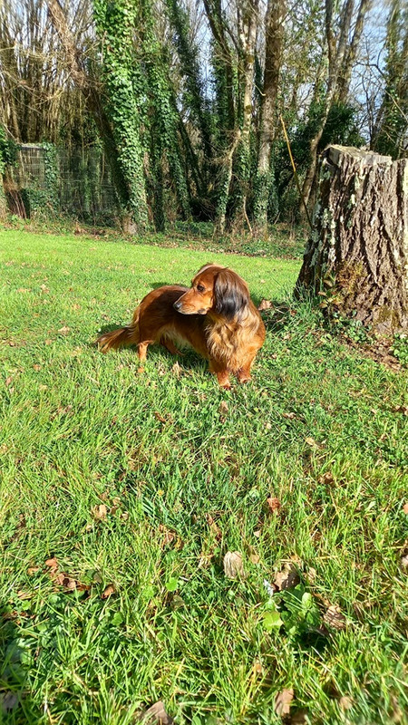 [Image: 20250222-145555.jpg]