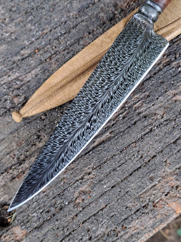 WhatsApp Image 2023-01-17 at 17.49.33 (1)