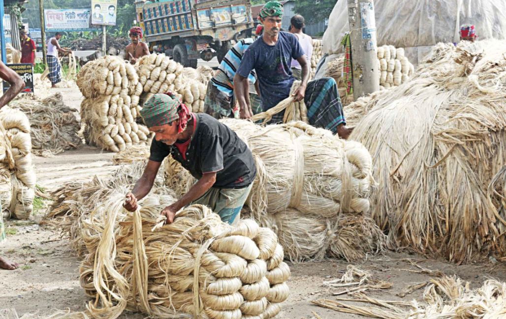 পাটশিল্প পুনরুজ্জীবনে ২৩২০ কোটি টাকার প্রকল্প প্রস্তাব সরকারের